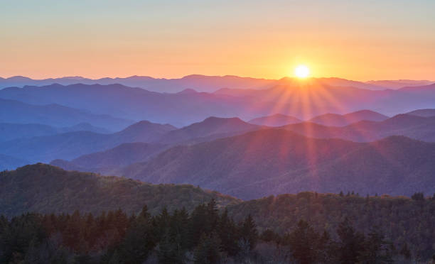 Proudly Based in Asheville, NC
